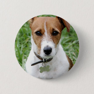 Jack-Russell-Terrier-Knopf Button