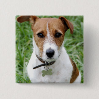 Jack-Russell-Terrier-Knopf Button