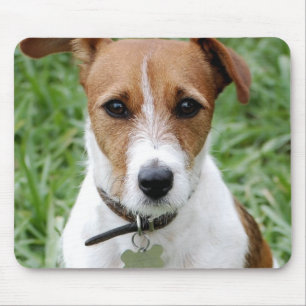 Jack-Russell-Terrier-Mausunterlage Mousepad