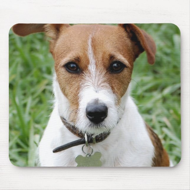 Jack-Russell-Terrier-Mausunterlage Mousepad (Vorne)