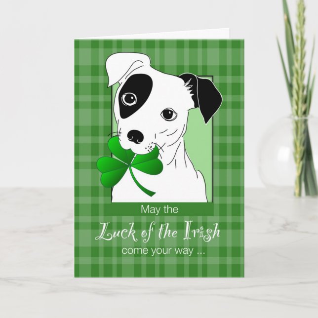 Jack Russell Terrier mit St. Patrick's Day Green Karte (Vorderseite)