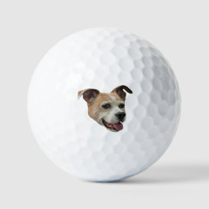 Jack Russell Terrier Mix Golfball