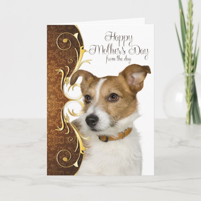 Jack Russell Terrier Mother's Day Card Karte (Vorderseite)