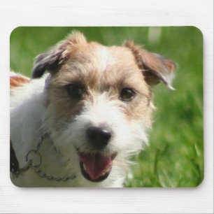 Jack-Russell-Terrier mousepad