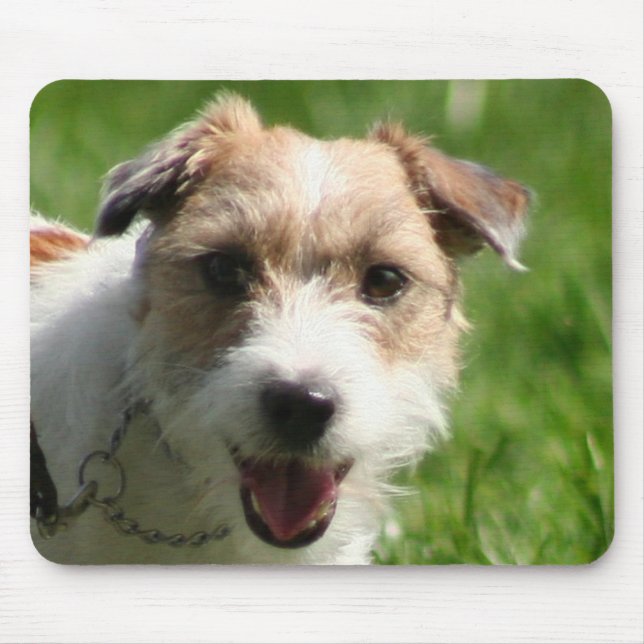 Jack-Russell-Terrier mousepad (Vorne)