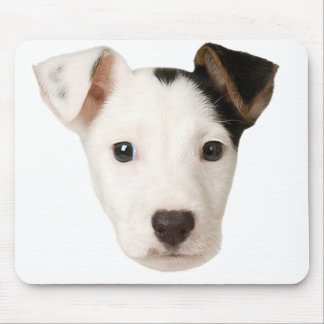 Jack Russell Terrier Mousepad