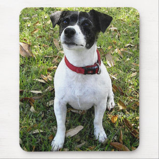 JACK-RUSSELL-TERRIER MOUSEPAD