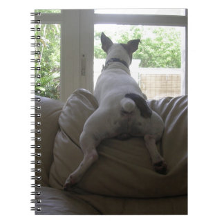 Jack Russell Terrier Notizblock