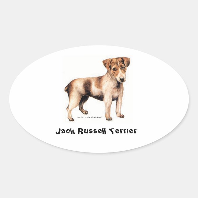 Jack Russell Terrier Ovaler Aufkleber (Vorderseite)