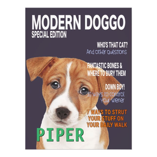 Jack Russell Terrier Parody Magazine Cover Fotodruck (Vorne)