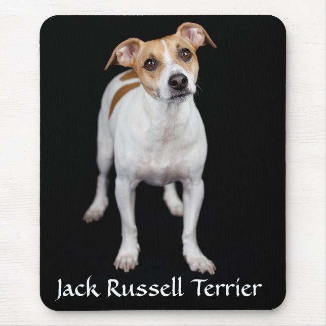 Jack Russell Terrier Portrait Mousepad (Vorne)