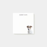 Jack Russell Terrier