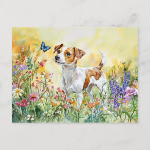 Jack Russell Terrier - Postcard Postkarte