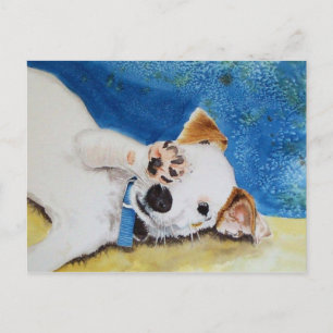 Jack Russell Terrier Postcard Postkarte