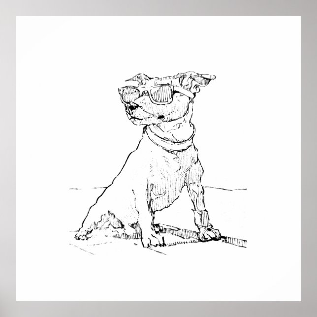 Jack Russell Terrier  Poster (Vorne)