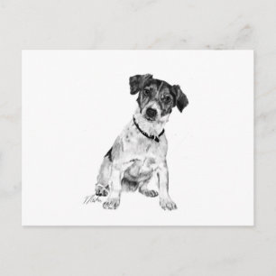 Jack Russell Terrier Postkarte
