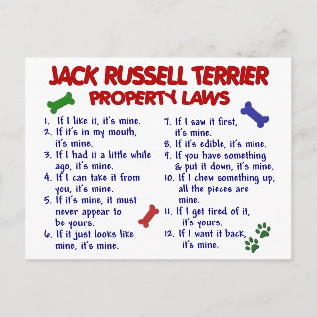 Jack RUSSELL TERRIER Property Laws 2 Postkarte (Vorderseite)