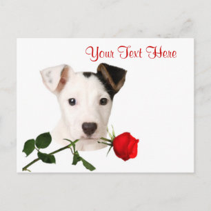 Jack-Russell-Terrier-Rote Rosevalentine-Entwurf Feiertagspostkarte