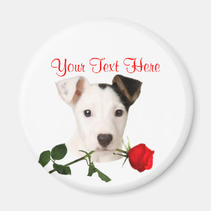 Jack-Russell-Terrier-Rote Rosevalentine-Entwurf Magnet