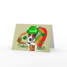 Jack Russell Terrier St Pats