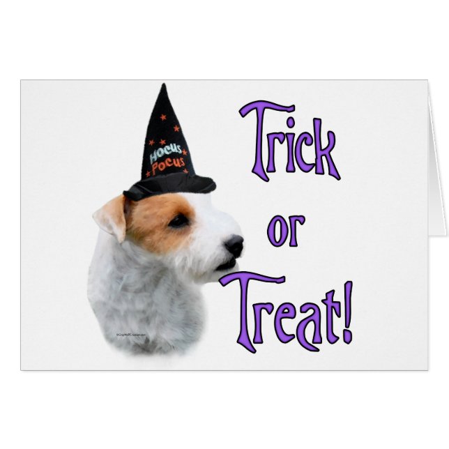Jack Russell Terrier Trick (Vorderseite (Horizontal))