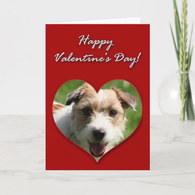 Jack Russell Terrier Valentinstag Card Feiertagskarte (Vorderseite)