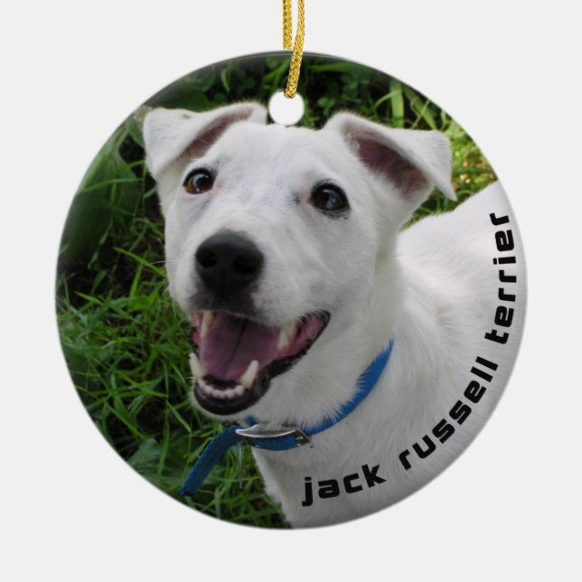 JACK-RUSSELL-TERRIER-VERZIERUNG KERAMIKORNAMENT (Vorne)