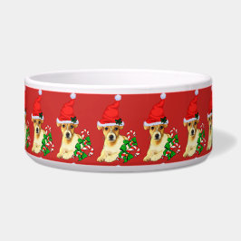 Jack Russell Terrier Weihnachten Napf