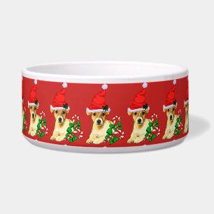 Jack Russell Terrier Weihnachten Napf