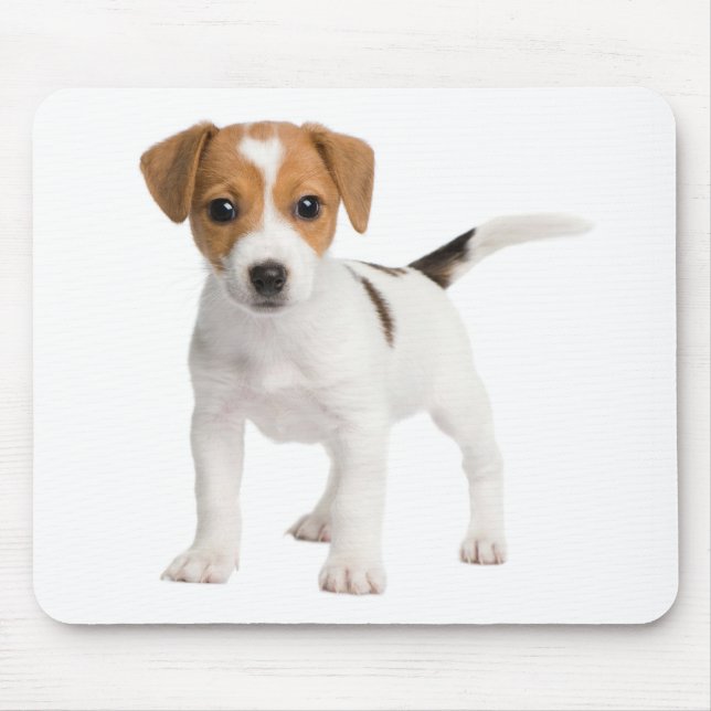 Jack Russell Terrier Welpe Brown and White Hund Mousepad (Vorne)