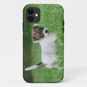 Jack Russell Terrier Welpe Case-Mate iPhone Hülle