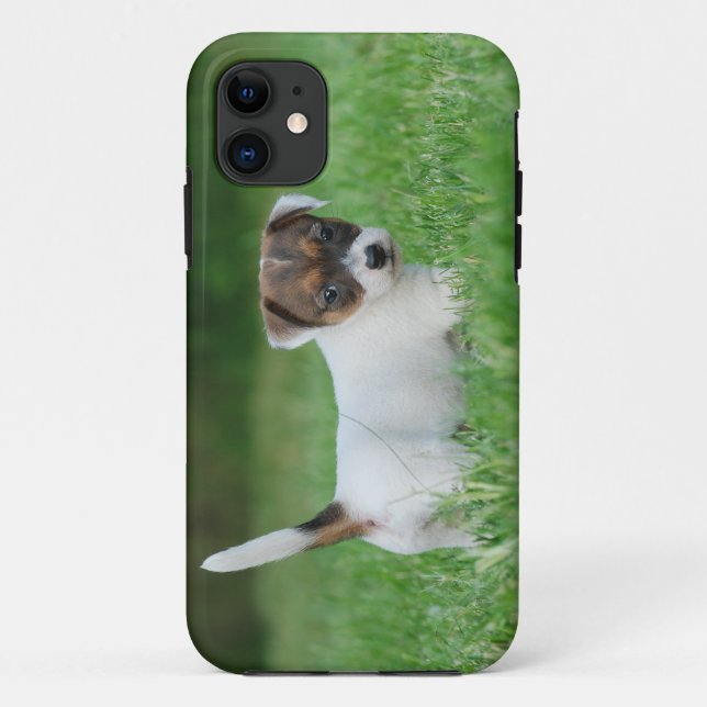 Jack Russell Terrier Welpe Case-Mate iPhone Hülle (Rückseite)