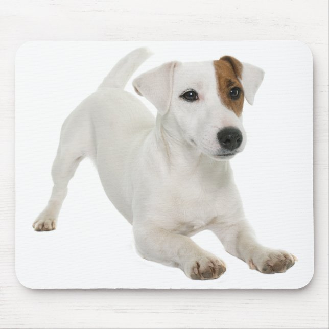 Jack Russell Terrier Welpe Hund Liebe Mousepad (Vorne)