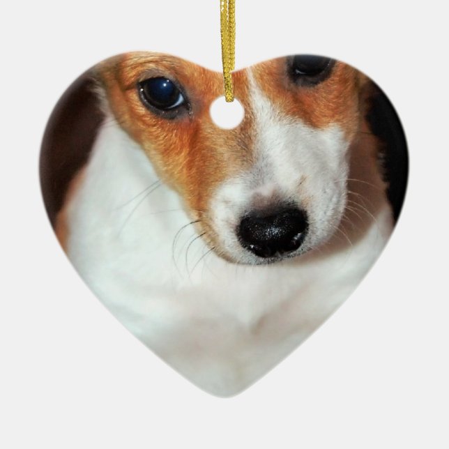 Jack-Russell-Terrier-Welpen-Hundeverzierung Keramikornament (Vorne)