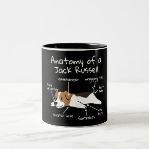 Jack Russell Terrier Zwei-Tone-Kaffee-Tasse Zweifarbige Tasse