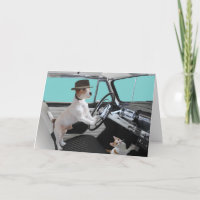 Jack Russell und Cat Driving Classic Car