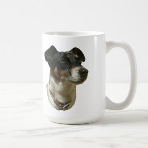 Jack Russell verfolgt Tasse