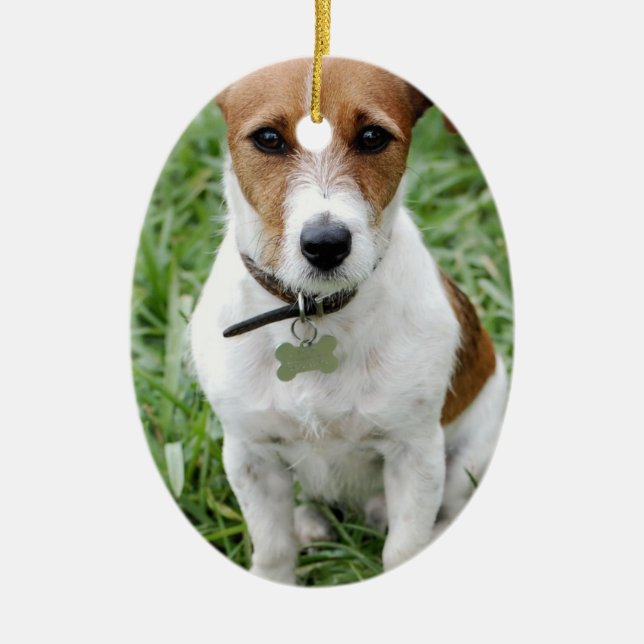 Jack-Russell-Verzierung Keramik Ornament (Vorne)