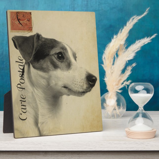 Jack Russell Vintag Postcard Fotoplatte (Seite)