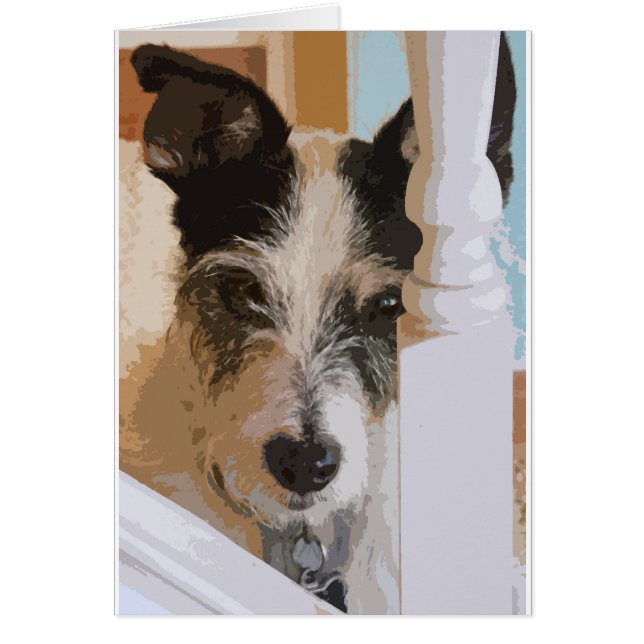 JACK RUSSELL WATCHES (Vorne)