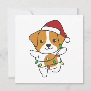 Jack Russell Weihnachten Niedliche Hunde