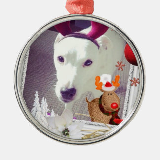 Jack-Russell-Weihnachten Silbernes Ornament
