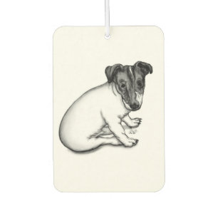 Jack Russell Welpe 10 Wochen alt Autolufterfrischer