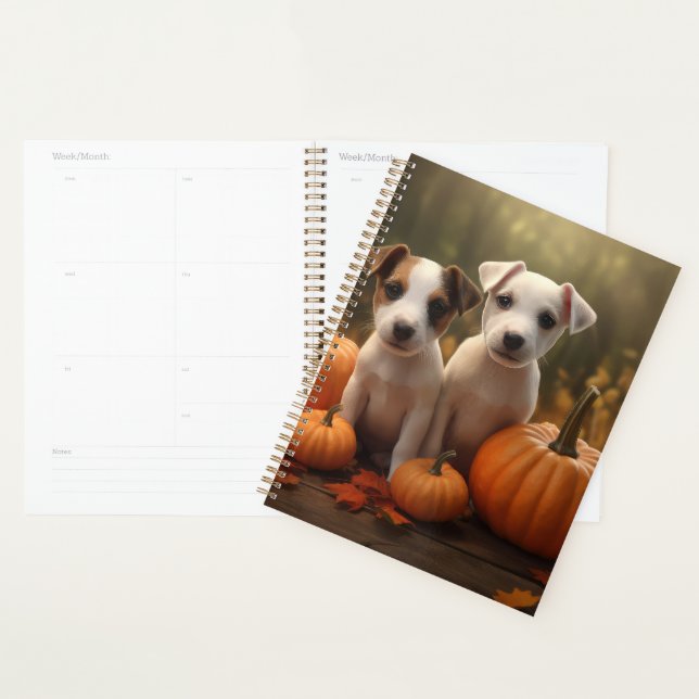 Jack Russell Welpe Autumn Delight Pumpkin Planer (Anzeige)