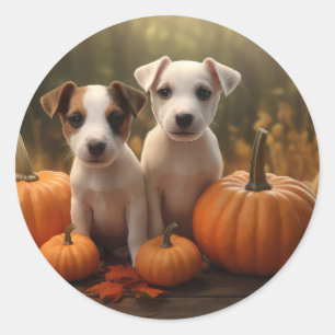 Jack Russell Welpe Autumn Delight Pumpkin Runder Aufkleber