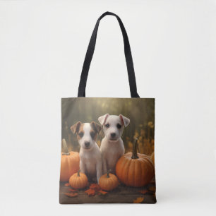 Jack Russell Welpe Herbstfreude Kürbis 