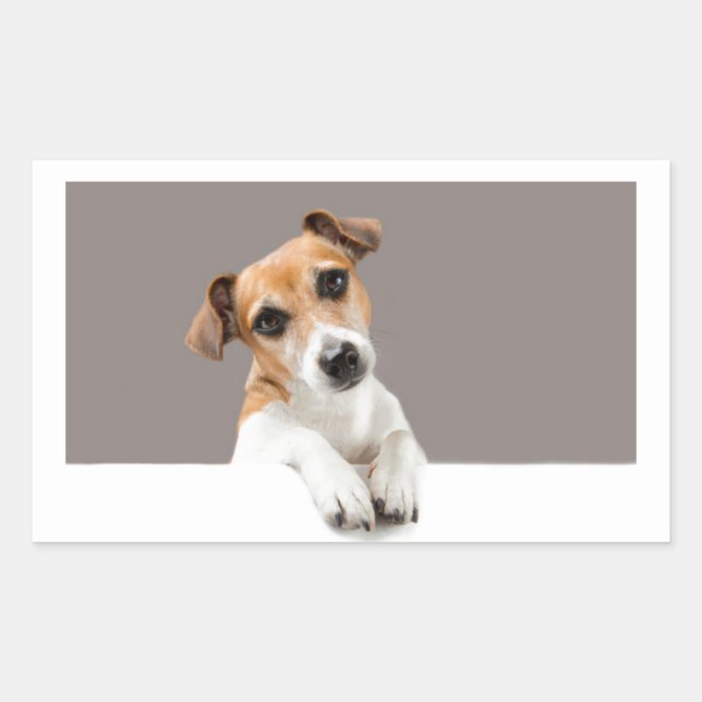 Jack Russell Welpe Hund Niedlich Adorable Sweet Rechteckiger Aufkleber (Vorderseite)