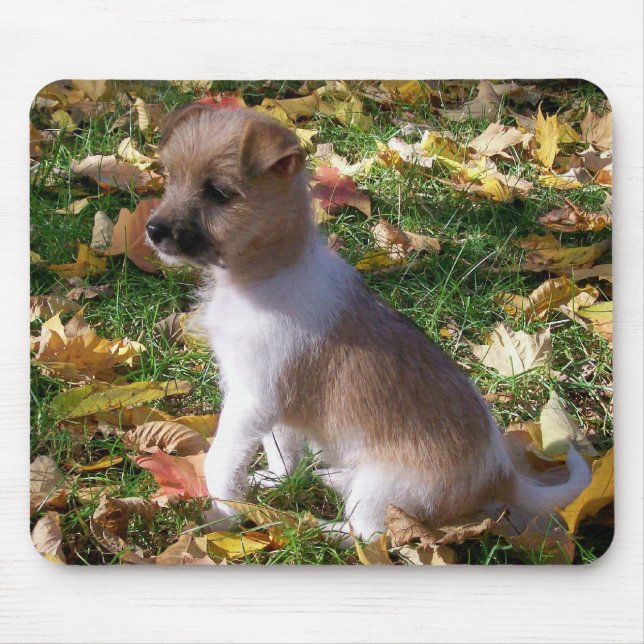 Jack-Russell-Welpe Mousepad (Vorne)