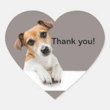 Jack Russell Welpe Süß Niedlich Cute Herz Aufklebe