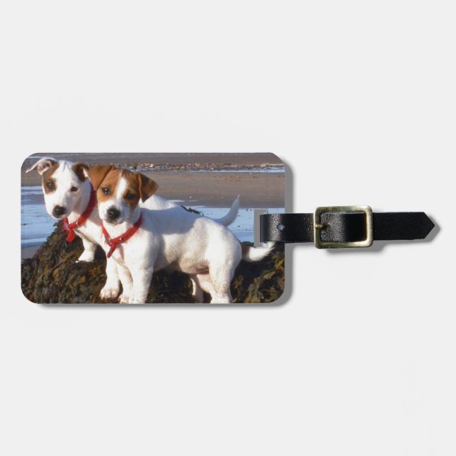 Jack-Russell-Welpen Gepäckanhänger (Vorderseite horizontal)